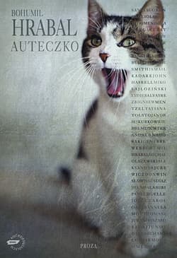 Auteczko