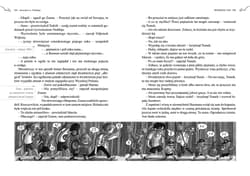 Galeria - zdjęcie nr. 4 - Awantura w Niekłaju