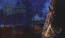 Galeria - zdjęcie nr. 2 - Awaria elektrowni