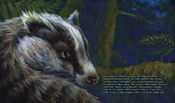 Galeria - zdjęcie nr. 3 - Awaria elektrowni