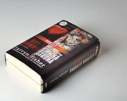 Bad Mommy / Ciemna strona Pakiet - Tarryn Fisher