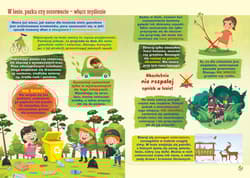 Galeria - zdjęcie nr. 3 - Bądź EKO! Poradnik ekologiczny