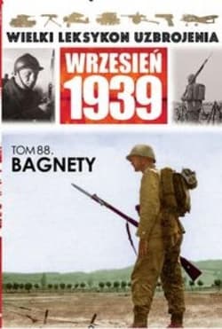 Bagnety
