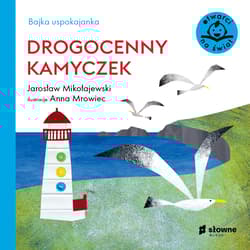 Bajka uspokajanka Drogocenny kamyczek - Jarosław Mikołajewski