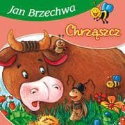 Bajki dla malucha - Chrząszcz - Jan  Brzechwa