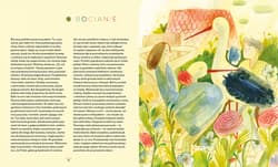 Galeria - zdjęcie nr. 2 - Bajki nasenne