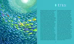 Galeria - zdjęcie nr. 3 - Bajki nasenne