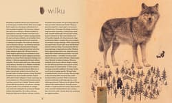 Galeria - zdjęcie nr. 4 - Bajki nasenne