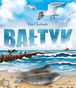 Bałtyk - Rafał Jankowski