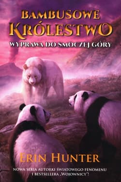 Bambusowe królestwo Tom 3 Wyprawa do Smoczej Góry - Erin Hunter