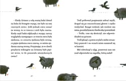 Galeria - zdjęcie nr. 2 - Bangsi Miś do kochania