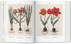 Galeria - zdjęcie nr. 4 - Basilius Besler. Florilegium. The Book of Plants wer. angielska
