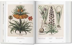 Galeria - zdjęcie nr. 3 - Basilius Besler. Florilegium. The Book of Plants wer. angielska