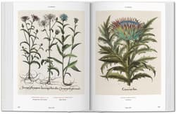 Galeria - zdjęcie nr. 2 - Basilius Besler. Florilegium. The Book of Plants wer. angielska