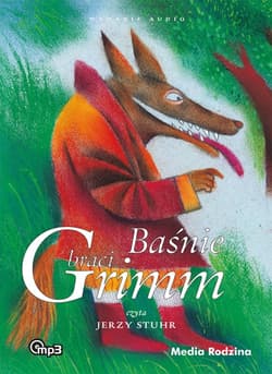Baśnie braci Grimm 2 - audiobook - Grimm  Wilhelm, Grimm Jakub