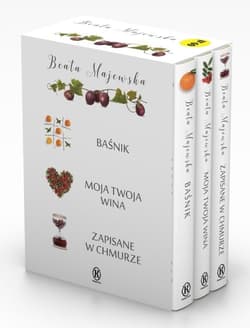 Baśnik / Moja twoja wina / Zapisane w chmurze Pakiet - Beata Majewska