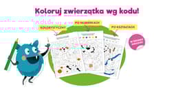 Galeria - zdjęcie nr. 3 - Bazgraki i urocze zwierzątka. Kolorowanie według kodu. Kapitan Nauka. Bazgraki