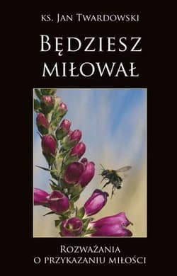 Będziesz miłował Rozważania o przykazaniu miłości