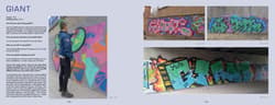 Galeria - zdjęcie nr. 5 - Beijing Graffiti wer. angielska