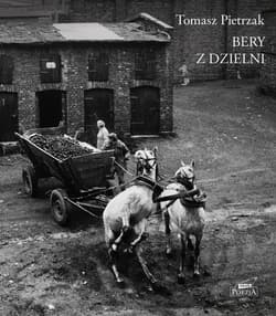 Bery z dzielni - ebook - Tomasz Pietrzak