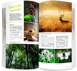 Galeria - zdjęcie nr. 2 - Beskid Niski zestaw przewodnikowy 2w1 light 2021