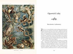 Galeria - zdjęcie nr. 5 - Bestiariusz współczesny. 42 opowieści z życia