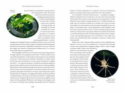 Galeria - zdjęcie nr. 4 - Bestiariusz współczesny. 42 opowieści z życia