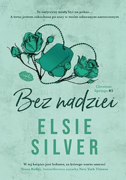 Bez nadziei. Chestnut Springs #5 - ebook - Elsie Silver