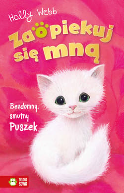 Bezdomny, smutny Puszek. Zaopiekuj się mną - Holly Webb