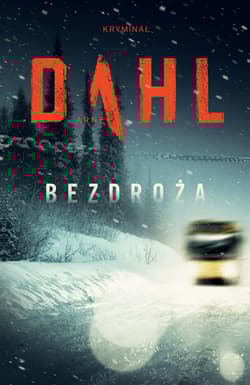 Bezdroża - Arne Dahl