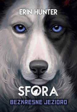 Bezkresne jezioro - ebook - Erin Hunter