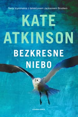 Bezkresne niebo - ebook - Kate Atkinson
