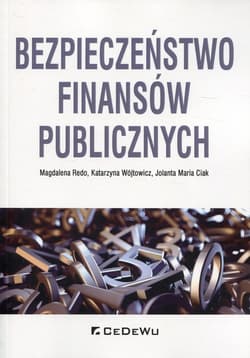 Bezpieczeństwo finansów publicznych - Katarzyna Wójtowicz, Ciak Jolanta Maria