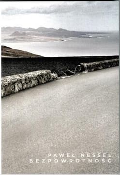 Bezpowrotność - Paweł Nessel