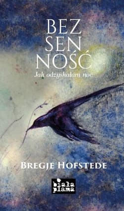 Bezsenność - Bregje Hofstede