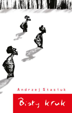 Biały kruk - ebook - Andrzej Stasiuk
