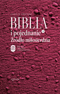 Biblia i pojednanie. Źródło miłosierdzia - ebook - James B. Prothro