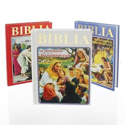 Biblia w obrazkach dla najmłodszych - Praca zbiorowa