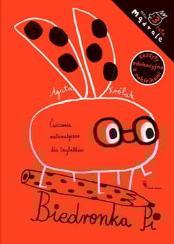 Biedronka Pi Ćwiczenia matematyczne dla trzylatków