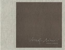 Bieg linii - Michał Zawada