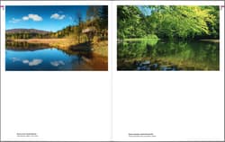Galeria - zdjęcie nr. 5 - Bieszczady. Tam gdzie niedźwiedzie piwo warzą