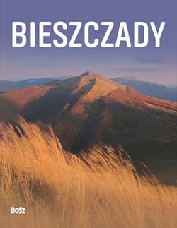 BIESZCZADY WYD. 2019 - Opracowanie Zbiorowe