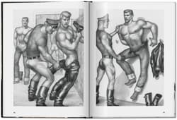 Galeria - zdjęcie nr. 3 - Bikers. The Little Book of Tom