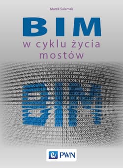 BIM w cyklu życia mostów - Marek Salamak