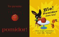 Galeria - zdjęcie nr. 4 - Bing. Czytajmy razem