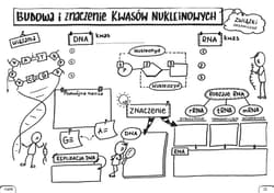 Galeria - zdjęcie nr. 4 - Biologia Graficzne karty pracy dla liceum i technikum Poziom podstawowy Zestaw 1