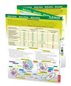 Biologia. MAXI ściąga - Opracowanie Zbiorowe