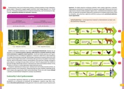 Galeria - zdjęcie nr. 5 - Biologia. Nowe Repetytorium. Szkoła podstawowa 2024-2026