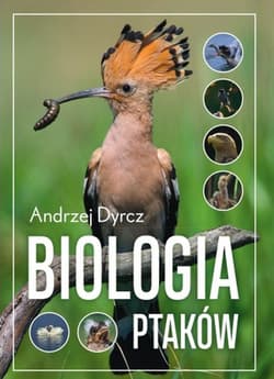 Biologia ptaków - Andrzej Dyrcz