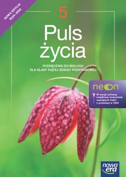 Biologia Puls życia NEON podręcznik dla klasy 5 szkoły podstawowej EDYCJA 2024-2026 - Sęktas Marian
